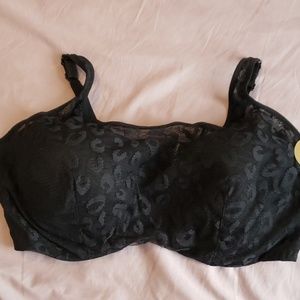 Ashley Stewart Bra
